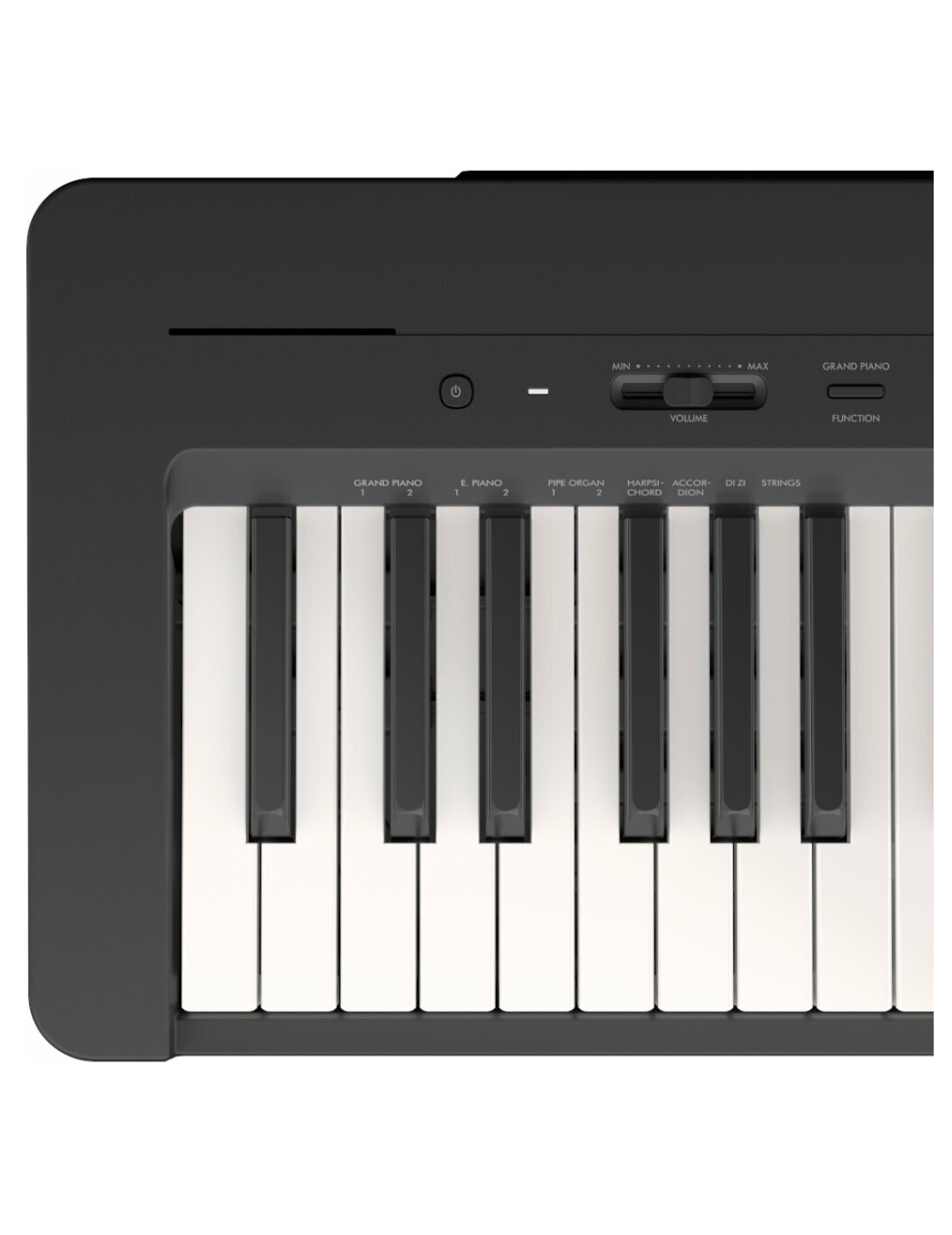 Yamaha P-145B_3