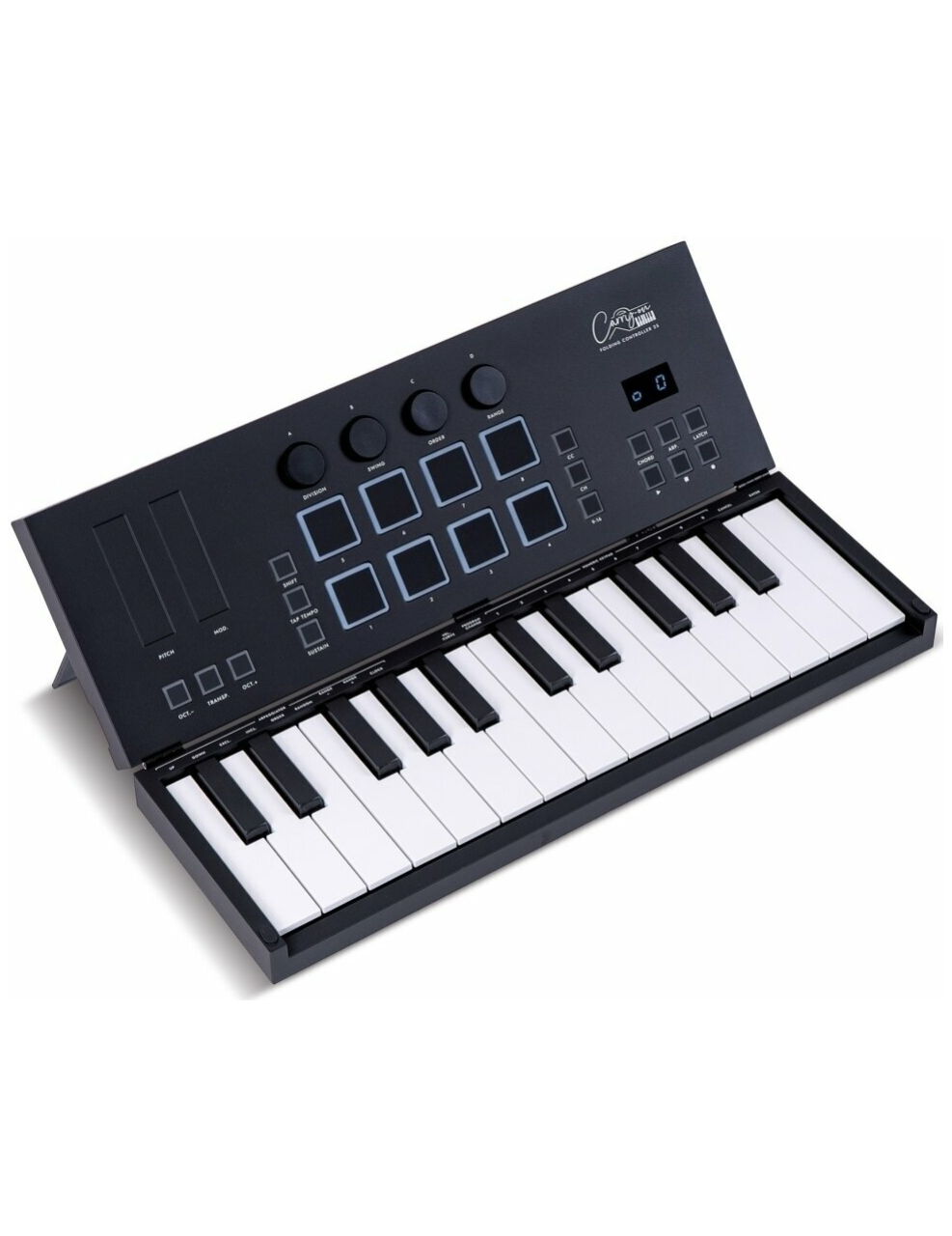 Carry On Controller 25_1